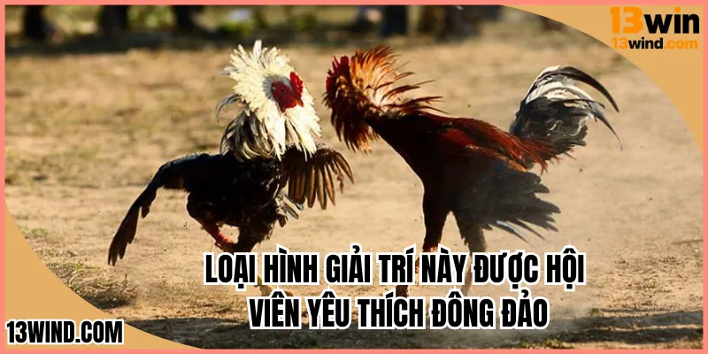 Loại hình giải trí này được hội viên yêu thích đông đảo