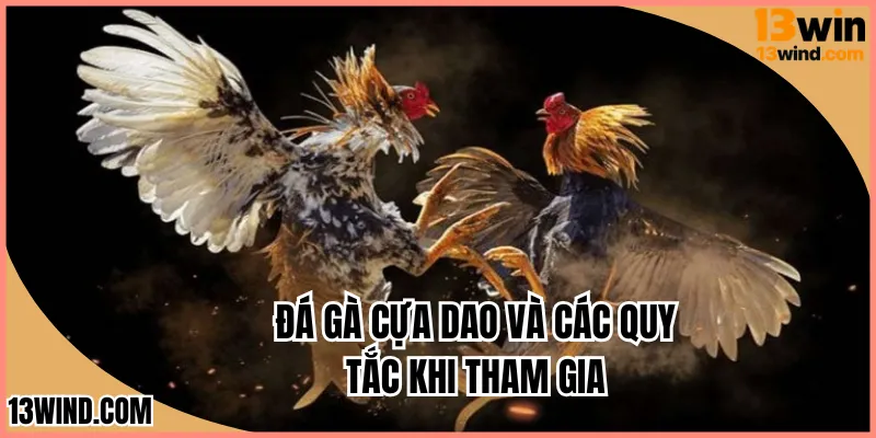 Đá gà cựa dao và các quy tắc khi tham gia