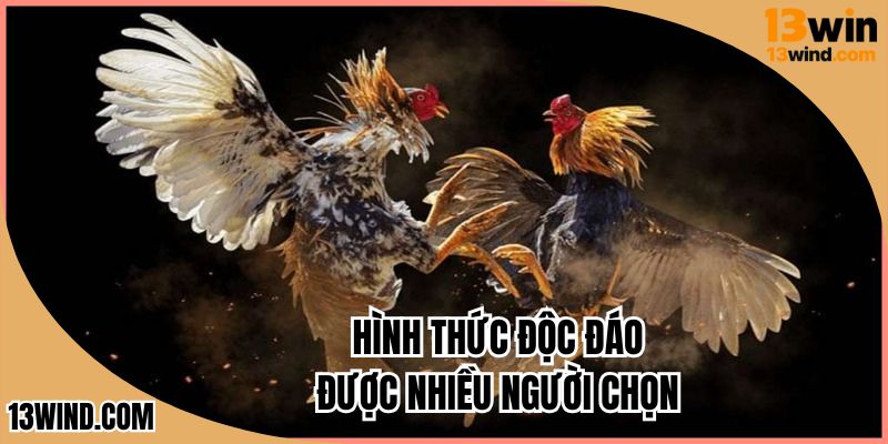 Đá gà cựa luôn được ưa chuộng nhất sân chơi đá gà 13WIN