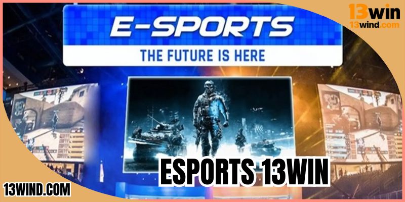 Esports 13WIN - Sân Chơi Cá Độ Thể Thao Điện Tử Hot