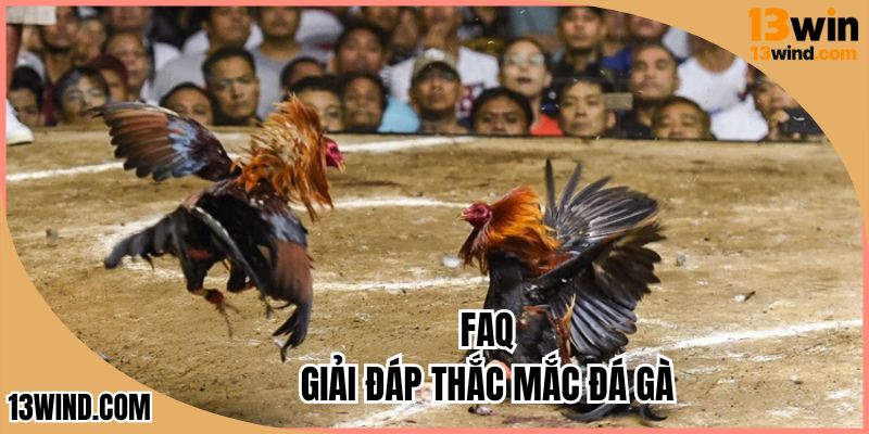 Giải đáp thắc mắc hội viên khi gia nhập nền tảng