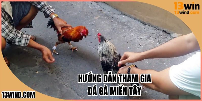 Quy tắc sàng lọc, các yếu tố vận hành bạn cần nắm rõ