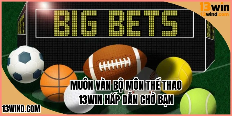 Muôn vàn bộ môn thể thao 13WIN hấp dẫn chờ đợi bạn