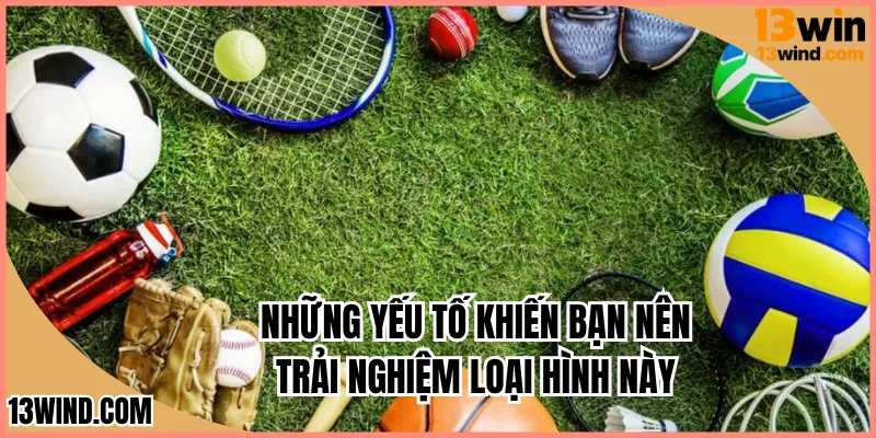 Những yếu tố khiến bạn nên trải nghiệm loại hình này